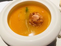 浓汤花胶鱼翅（约230克）-申粤轩酒楼·三十年粤菜经典(丁香花园店)