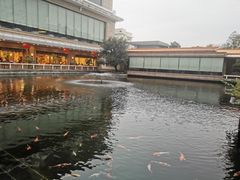 -番禺宾馆丽苑厅