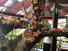 -卷心菜和避孕套餐厅(Pattaya)