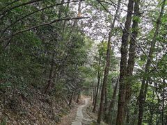 -西湖风景区十里琅珰-五云山