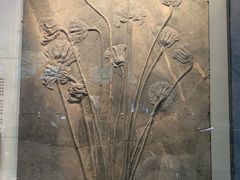 -湖南省地质博物馆