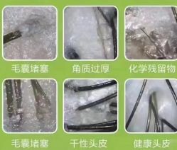 -LJOY丽锦造型·烫发染发