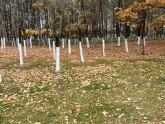 -长春世界雕塑园冰雪艺术天地