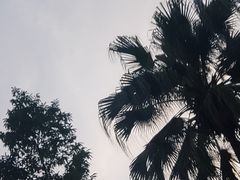 -重庆海昌加勒比海水世界