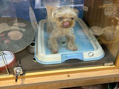 -FAELING PETS美天灵宠物(富力广场店)