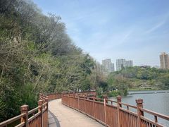 -重庆彩云湖湿地公园