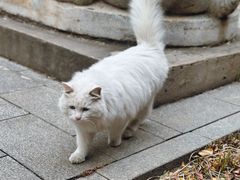 -北京石刻艺术博物馆(五塔寺)