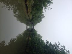 溱湖国家湿地公园-溱湖国家湿地公园