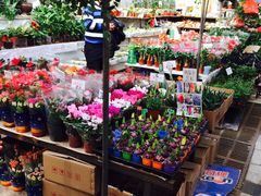 -秦美花卉(天朗·莱茵小城2期店)