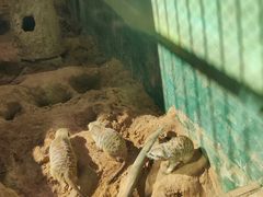 -昆明动物园