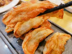 -淘淘园·韩式手工炸酱面(井亭天地店)
