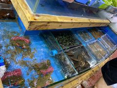 水产区-肥仔濑尿虾(全球通总店)