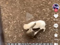 -昆明动物园