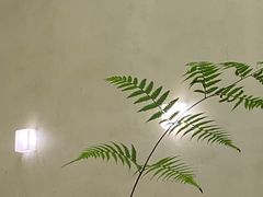 -小团圆糖水铺(襄阳南路店)