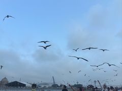 -星海广场