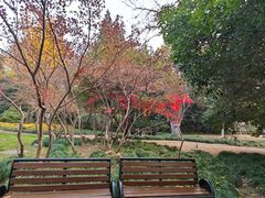 -扬州大运河文化旅游度假区·盆景园