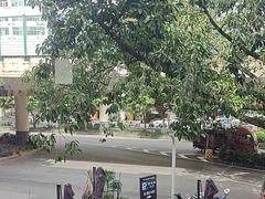 -甘家界牌柠檬鸭(青山店)