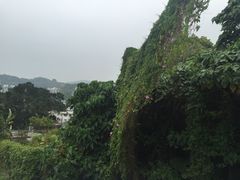 -南丫岛