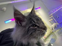 -极木²邸 人与宠物·互动社区
