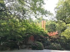 -杭州黄龙洞