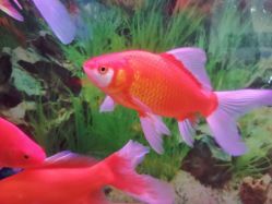 -颐健堂健康管理中心(宝龙店)