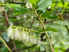 -昆明市金殿名胜区