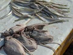 -尼甘布海鲜市场