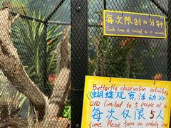 -上海鲜花港
