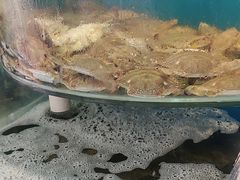 -仙螺岛海鲜自助餐厅(总店)