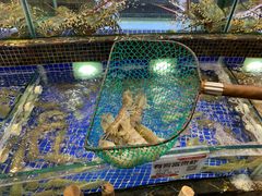 -欢乐海岸美食联盟