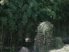 -松江清真寺