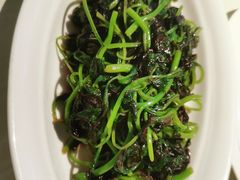 -芙蓉堂(武汉天地店)