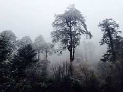 燕子沟景区-燕子沟风景区