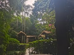 -天赐温泉