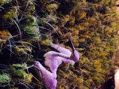 iphone_upload_pic-广东省博物馆