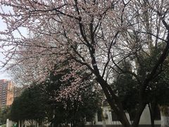 -堤角公园
