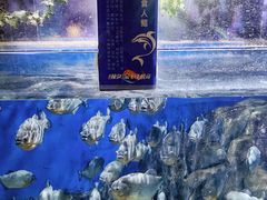 -郑州海洋馆