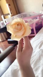 点击看大图 -琅悦月子会所(香格里拉旗舰店)