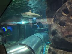 -福州罗源湾海洋世界旅游区