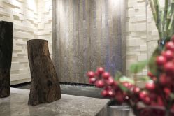 -丽妍雅集 Rubis SPA