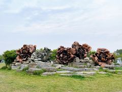 -上海海湾国家森林公园