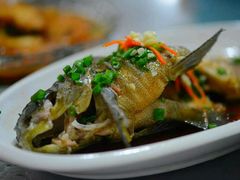 android_upload_pic-雁荡农庄