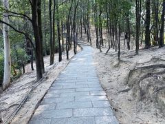 -火炉山森林公园