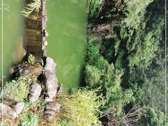 -杭州西湖风景名胜区-三生石