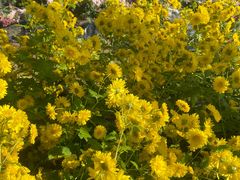 -贵州省植物园