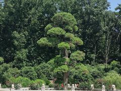 -南京东郊国宾馆