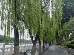 -后海公园