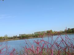 -东郊湿地公园
