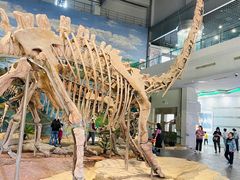 -自贡恐龙博物馆