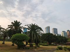 -万绿园